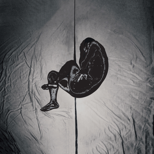 安迷修被雷狮用大鸡巴操干
