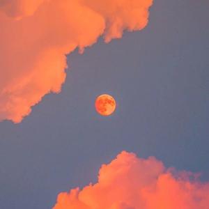 安迷修被雷狮用大鸡巴操干
