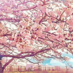 安迷修被雷狮用大鸡巴操干
