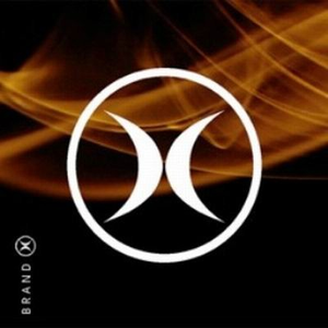 安迷修被雷狮用大鸡巴操干
